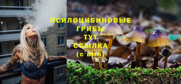 таблы Арсеньев