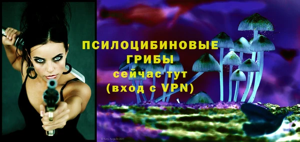 таблы Арсеньев