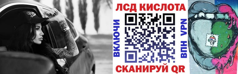 как найти наркотики  Новоузенск  Наркотические марки 1,5мг 