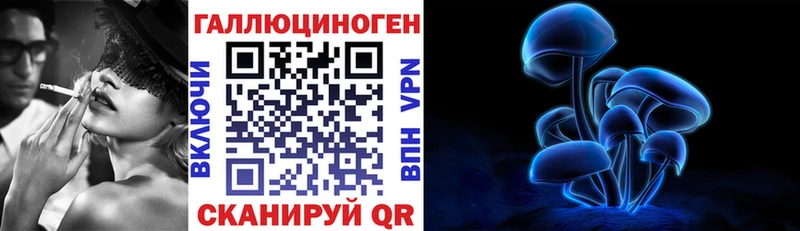 Псилоцибиновые грибы Psilocybe  цены   Новоузенск 